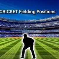 Cricket Fielding Position