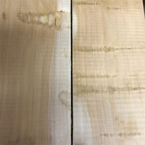 How To Identify Grains In A Cricket Bat? I Cricketfile